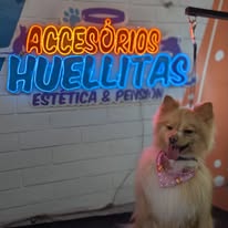 Beneficios de tener mascota