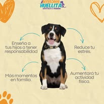 Vacante Accesorios Huellitas