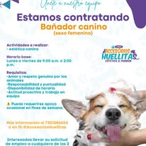 Mascota en Accesorios Huellitas 6